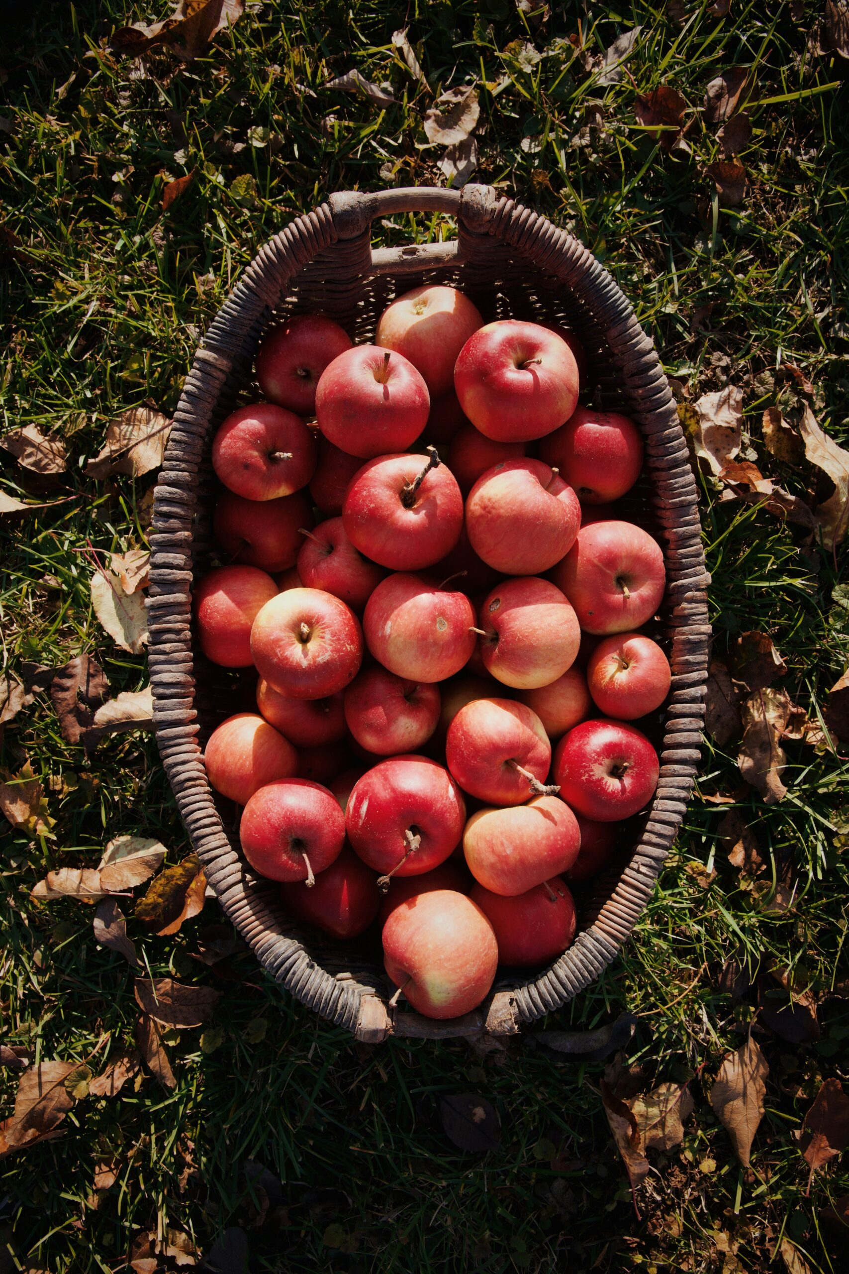 julia-kicova-2ip11Nhylts-unsplash julia-kicova-2ip11Nhylts-unsplash